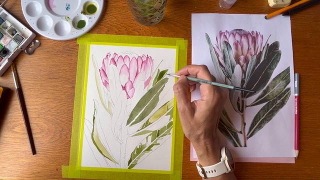 PROTEA