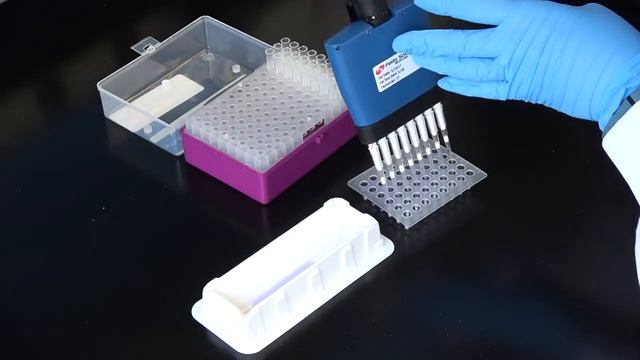 Multichannel Pipetting Technique