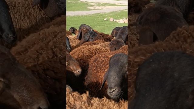 15 апреля 2023 г.