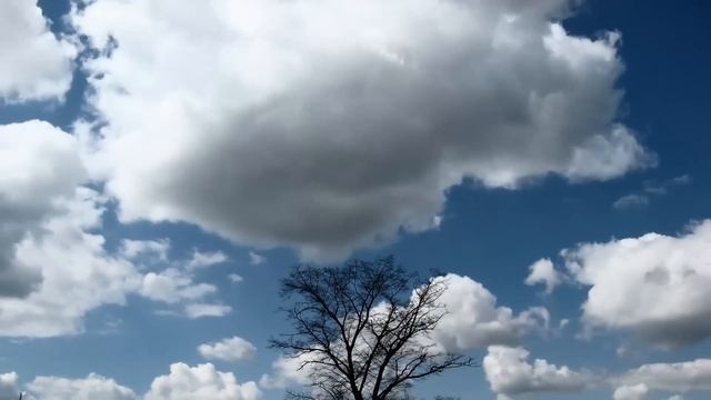 B7e346b786324f3e617b2317611c6342