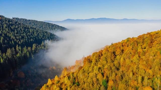 Прекрасная расслабляющая музыка - Хватит думать, Музыка для снятия стресса, Музыка для сна.