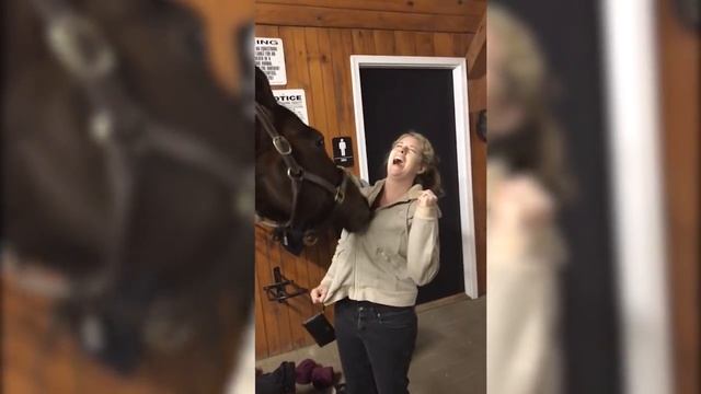 Horse Plays With Girl's Hoodie