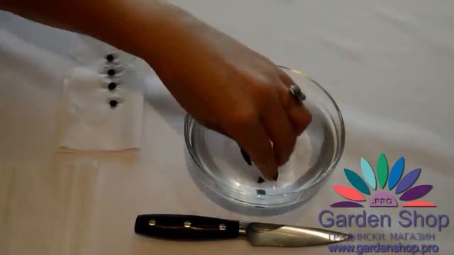 Bf5f053128af915ef3869cabd460a283