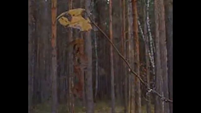 Прочь от городской суеты (природа)