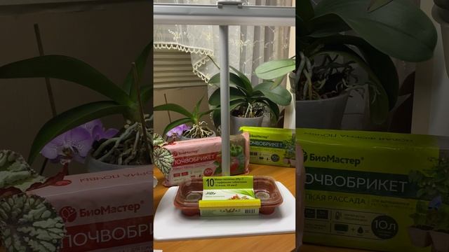 Лампы для рассады с регулятором высоты