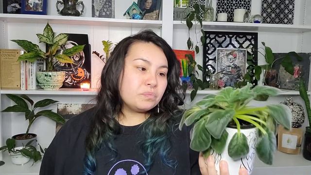 It's Ok, Throw It Away | Plant Purge 2022