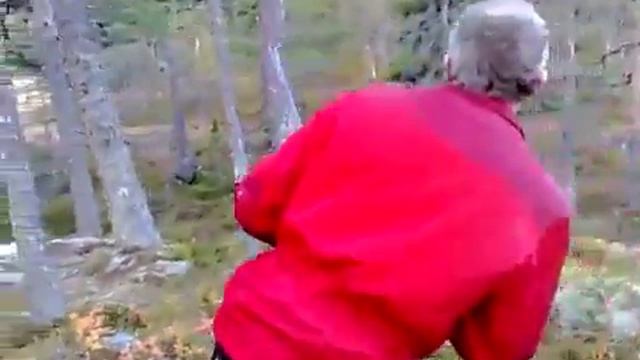 Охота на лося