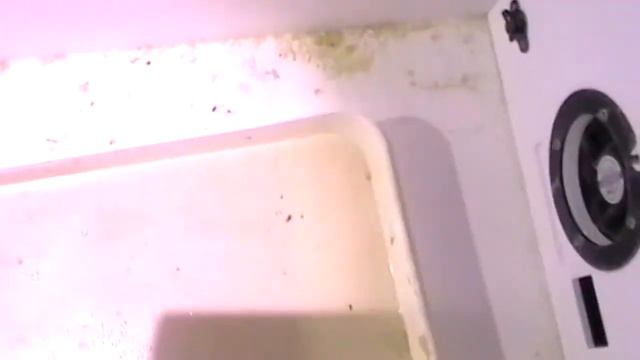 ОТЧЕТ О ИНКУБАЦИИ БРОЙЛЕРА НА ИНКУБАТОРЕ OVO 78   ВТОРАЯ ЧАСТЬ