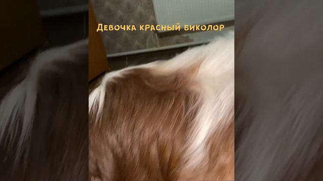 456e2d4ed4cfa161de87b9f670d6802c