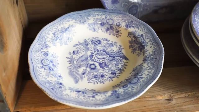 Tanuko's Vlog. Идем по шведским антикварным магазинам.