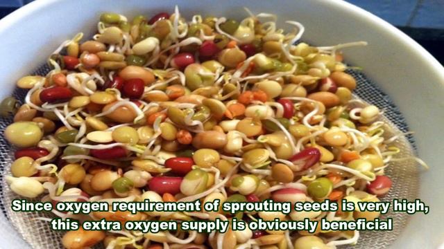 Surprising Ways To Use Hydrogen Peroxide In The Garden | Better Home & Garden