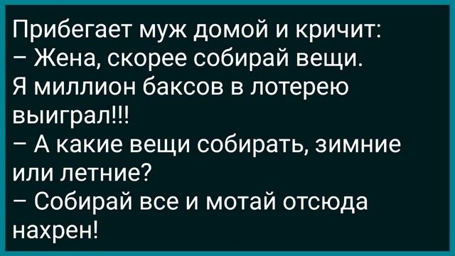 Вовочка с Родителями на Нудистском Пляже! Сборник Свежих Анекдотов! Юмор!