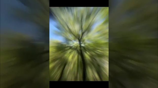 #альпинисты #семья #бригада #история #друзья #рекомендации