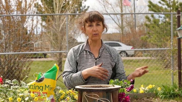 How To Plant An Annual Basket