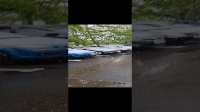 Каприз природы