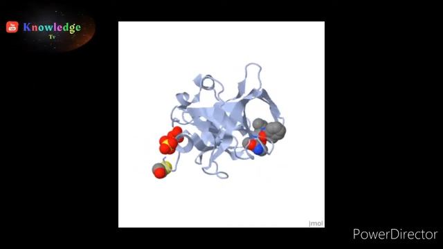 Different Types Of Virus And Their Harmful Effects|Urdu
