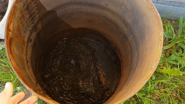 Про разобранный двор, березовые веники и огородные хлопоты.