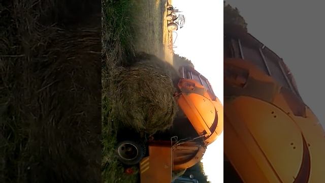 Лето, трактор, сенокос,