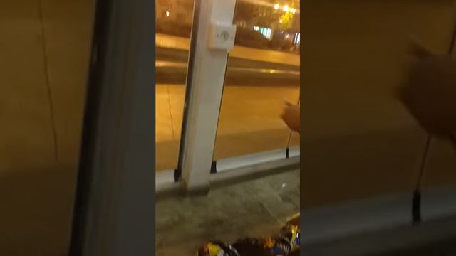 Как поставить гироскутер на зарядку.