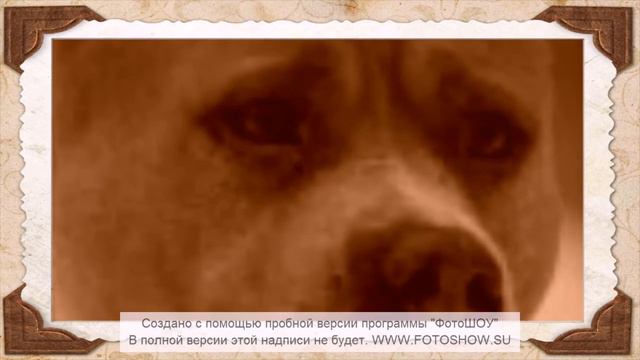 помню ... люблю .... скучаю