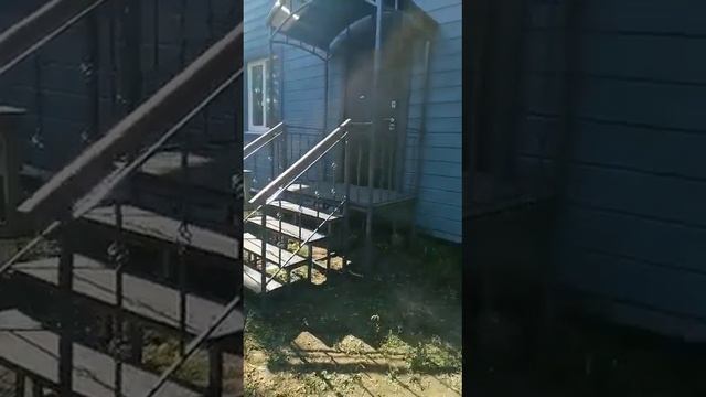 козырек на столбах и входные ступени.