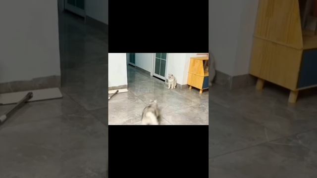 E46599c29247b6a10e7d7dc97de3383c