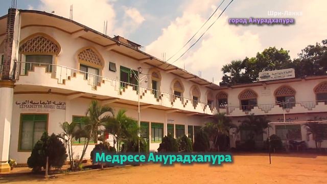 1f7bb451e31b4b45ae2bf6a6e296ae76