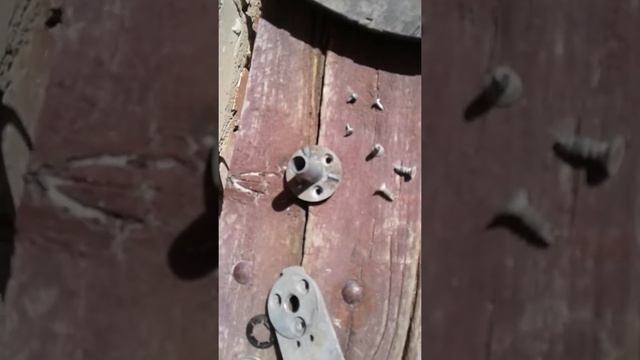 Путешествие на колесах