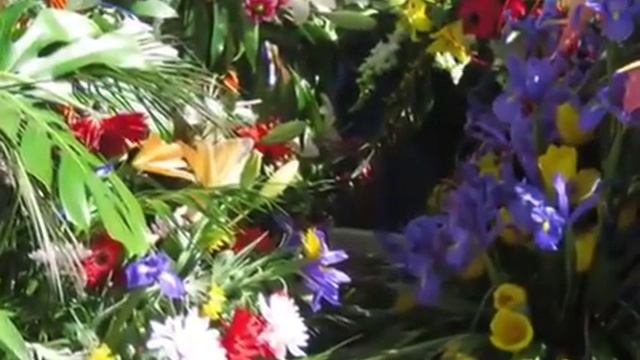 Море цветов для Девы Марии Офренда Валенсия (Испания)