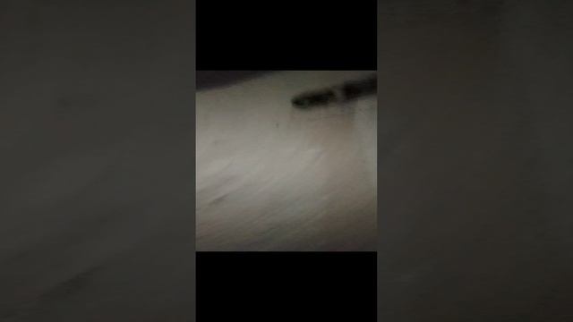 VID_20240115_193802.mp4