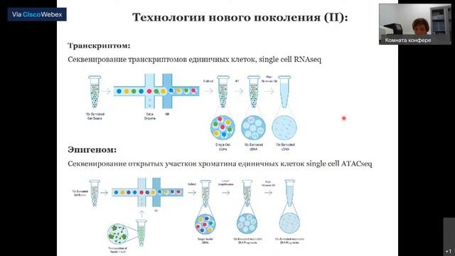 Грибные ярмарки
