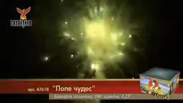 Поле Чудес (1,25