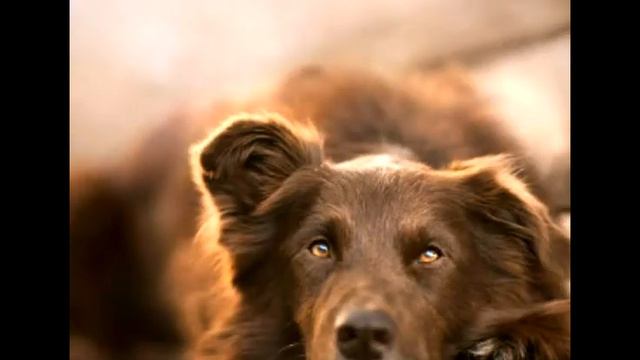 19 декабря 2015 г.