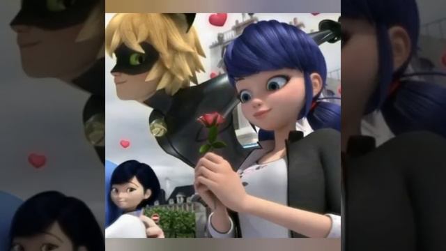 Модные жизни