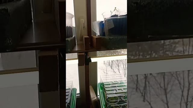 1f763277c15536c1858bacac93a52600