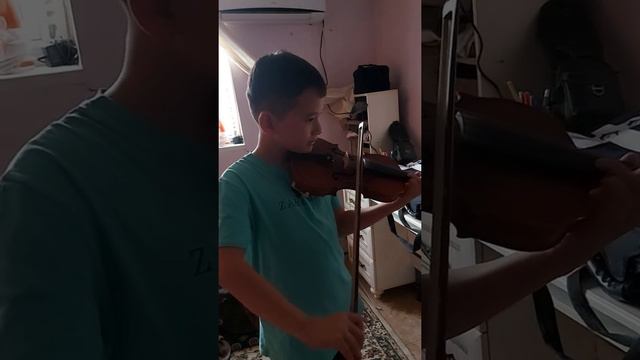 Год спустя.  ДУДАРАЙ скрипка