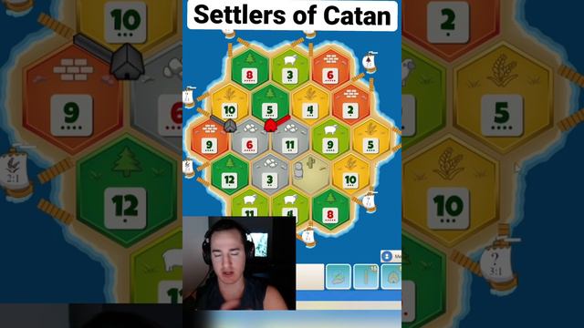 Have You Ever Played Settlers Or Catan?