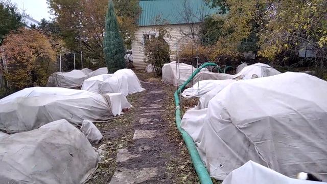 Сад укрыт. Сезон 2022 завершен.