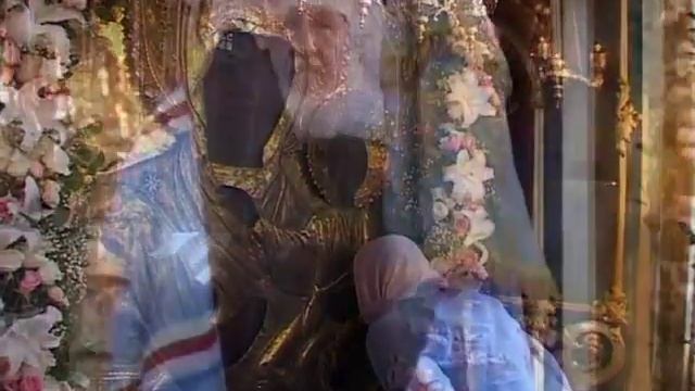 8e5ce011bacf2f3148e3dc1878546c12