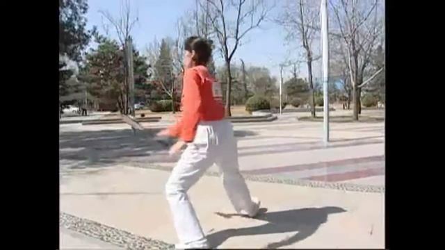 Тайцзи байлун бол. 4 форма.