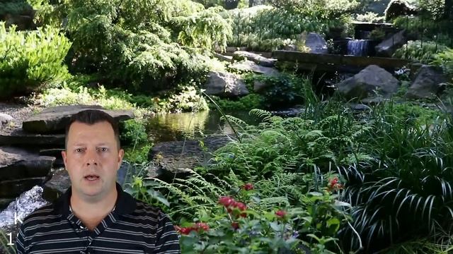 Best Camera For Beginners In 2018