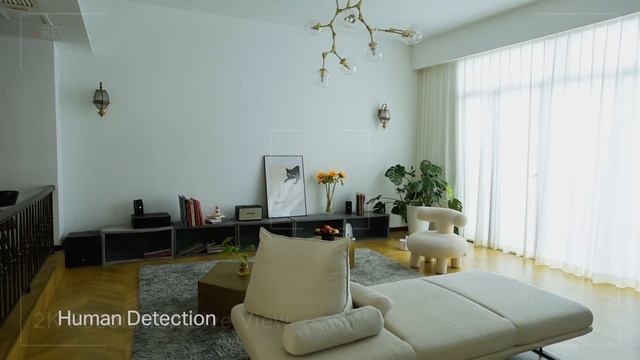 Tapo Home Security Wi-Fi Camera – Works With Alexa & Google Assistant (Tapo C110)