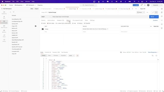 Imgur API Tutorial