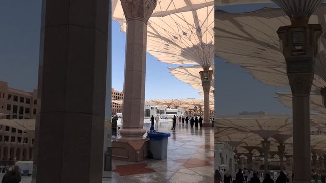 552629d9d4704ae2bc3da3bb5c5a73bd