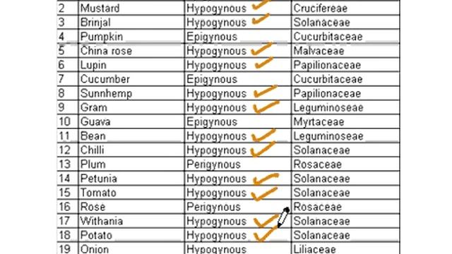 3d30edac47e233fd54c1e8fadc6674fc