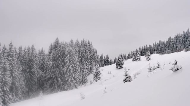 Главная вершина Украины. Зимнее восхождение на Говерлу