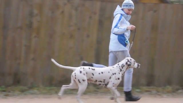 Хеппи  Сембо Ильмень. Движения.