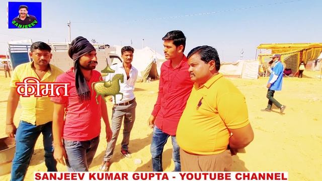 पुष्कर घोड़ा मेला का रहस्य खुला : Pushkar Horse Market  Business Secrets Revealed - Video