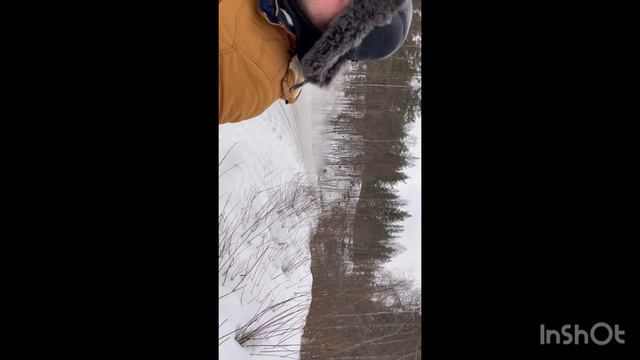 611d3abf27e93caf71e5311df9b2723e