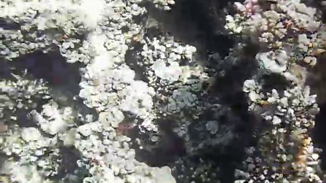 4c24b24b0c8b570373c7995c54d46a63